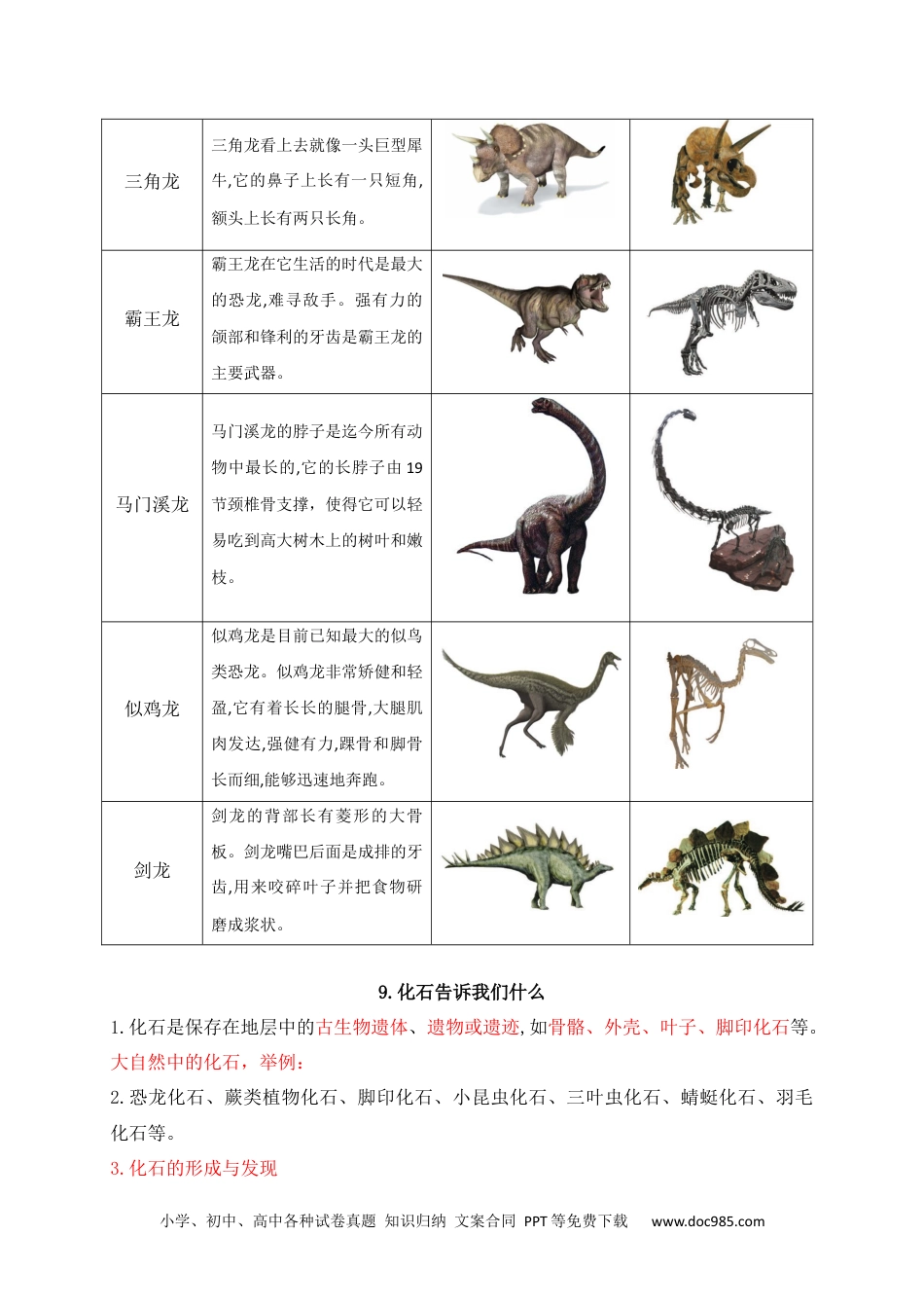 新苏教版六年级上册科学第三单元化石的奥秘知识点整理.docx