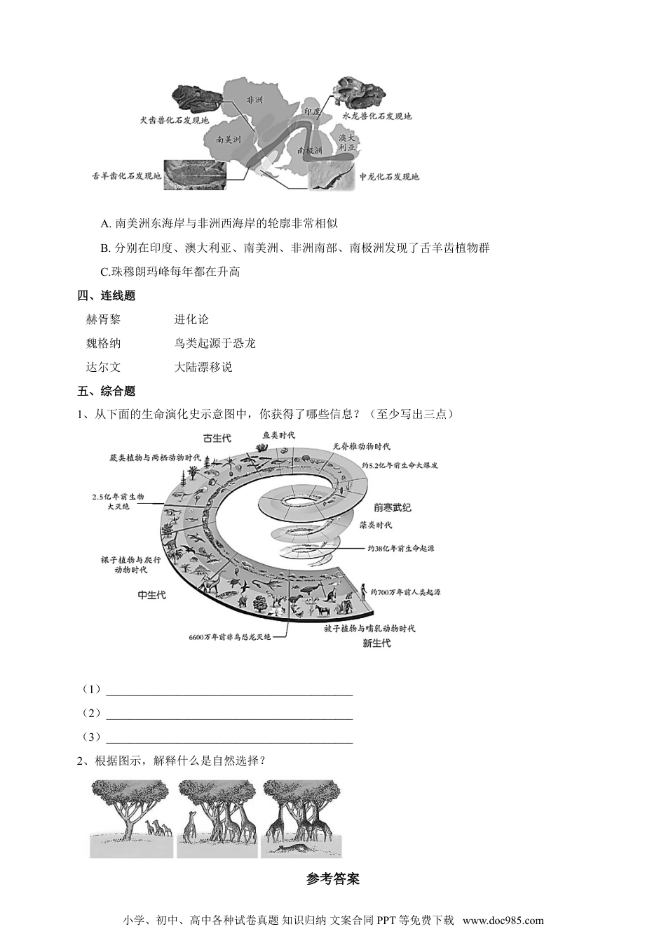 （苏教版）六年级上册科学 310《用化石作证据》练习（含练习）.doc