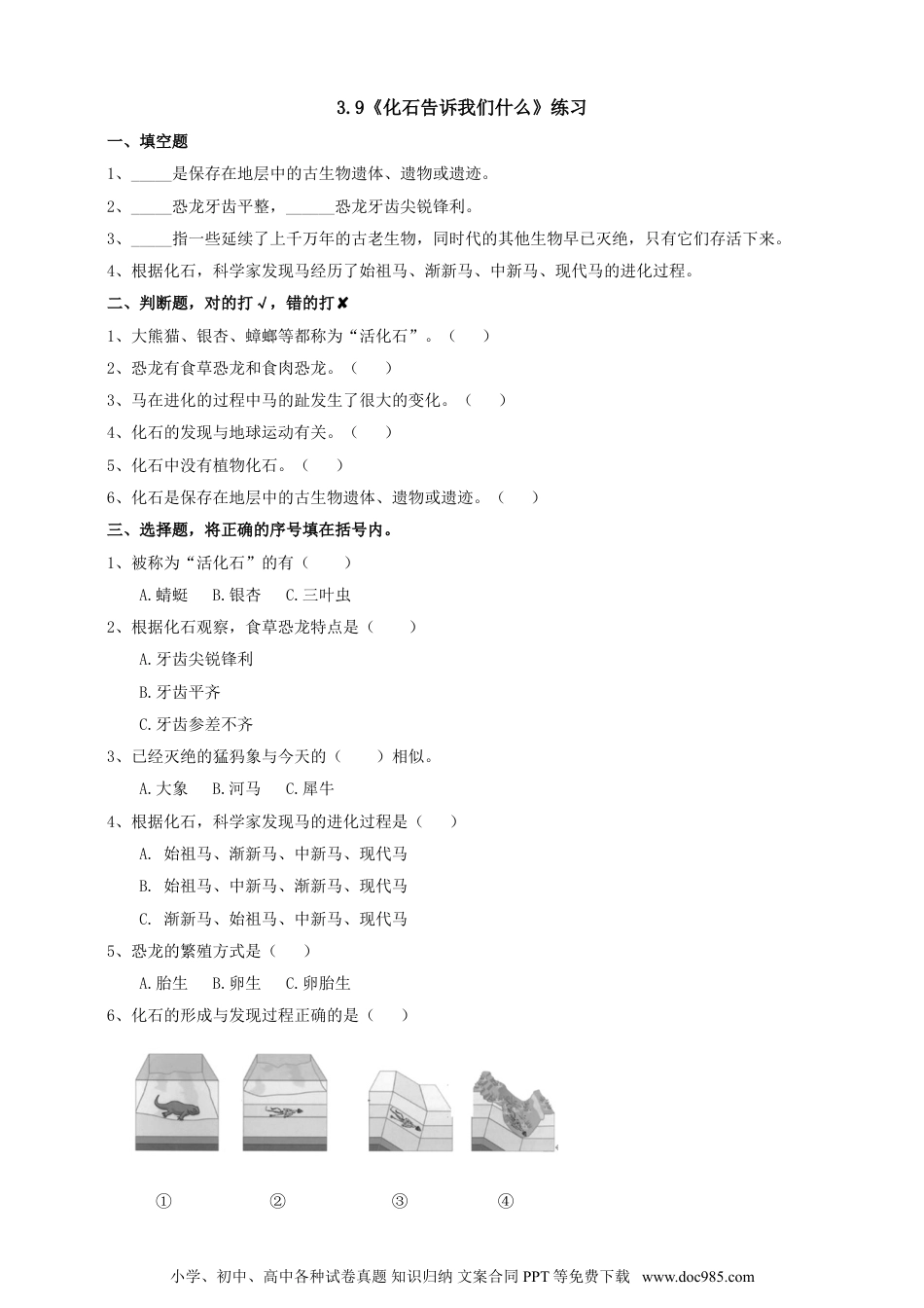 （苏教版）六年级上册科学 3.9《化石告诉我们什么》练习（含答案）.doc