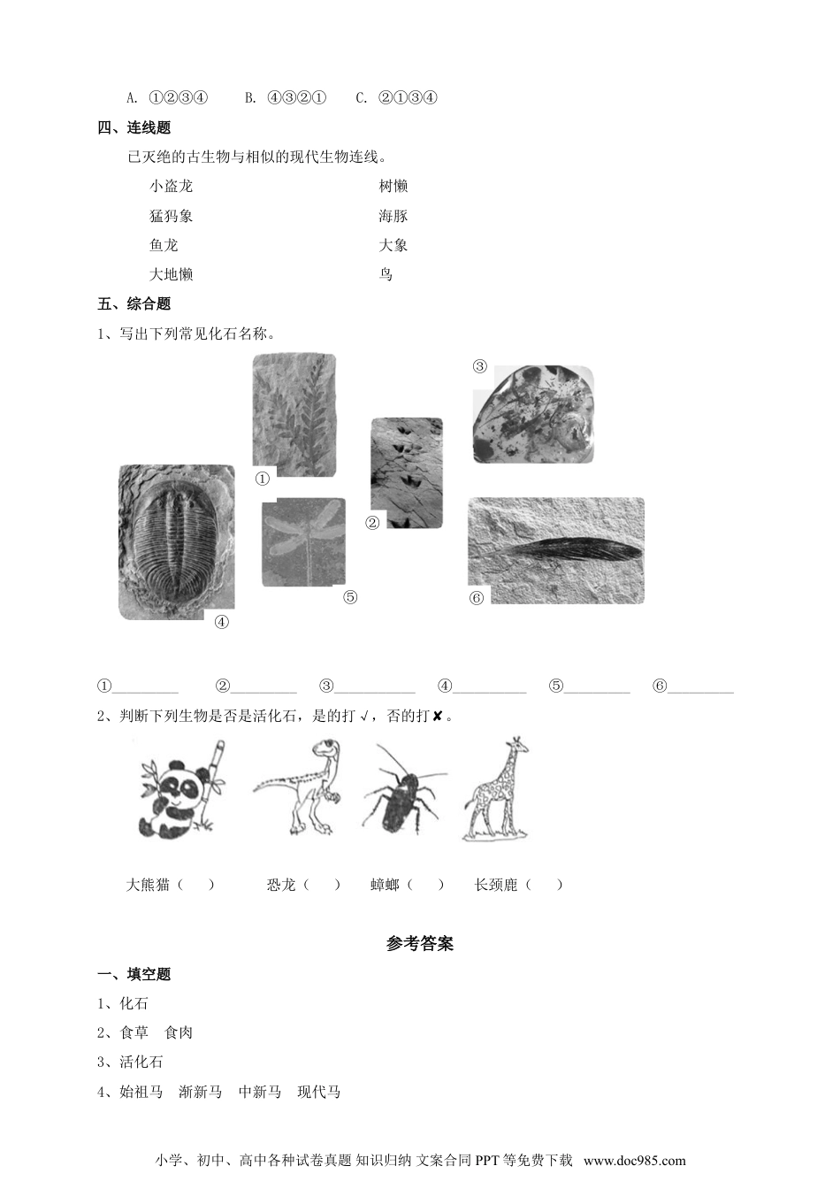 （苏教版）六年级上册科学 3.9《化石告诉我们什么》练习（含答案）.doc