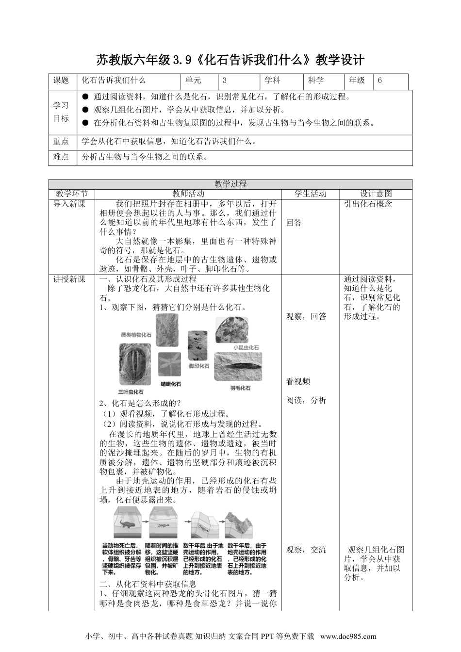 （苏教版）六年级上册科学 3.9《化石告诉我们什么》教案.doc