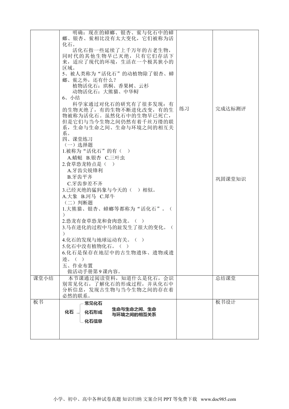 （苏教版）六年级上册科学 3.9《化石告诉我们什么》教案.doc