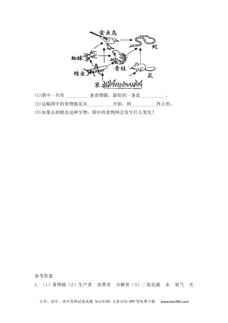 2.6有趣的食物链 （练习）-2022-2023学年六年级科学下册同步备课（苏教版）.docx