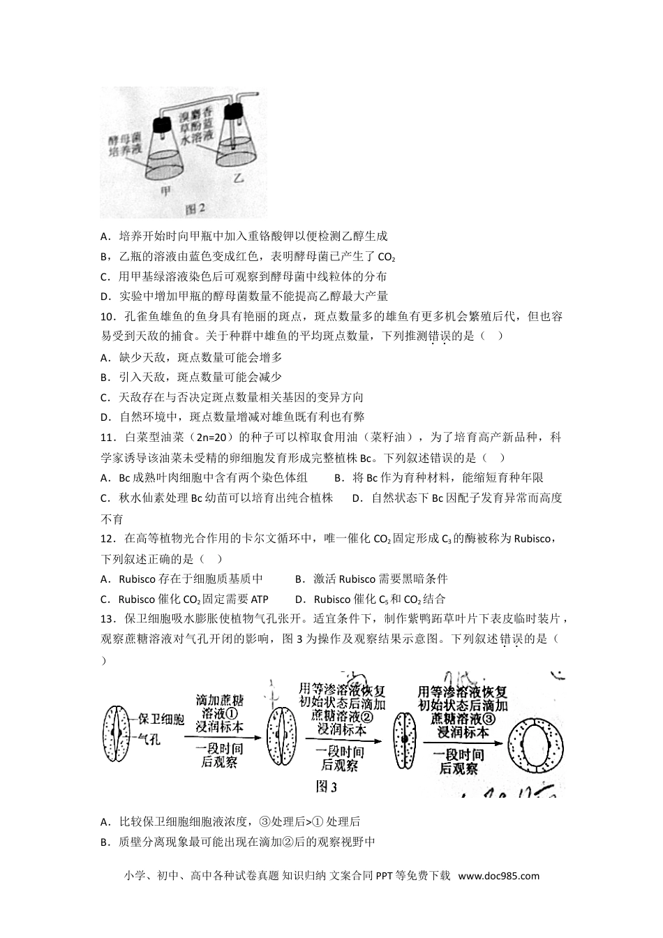 2021年广东高考生物（原卷版).doc