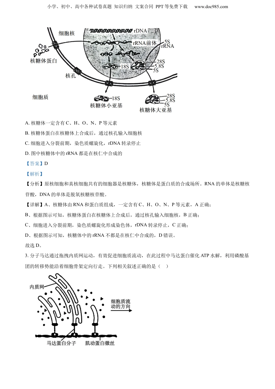 精品解析：江苏省盐城市、南京市2023一2024学年高三上学期期末调研测试生物试题（解析版）.docx