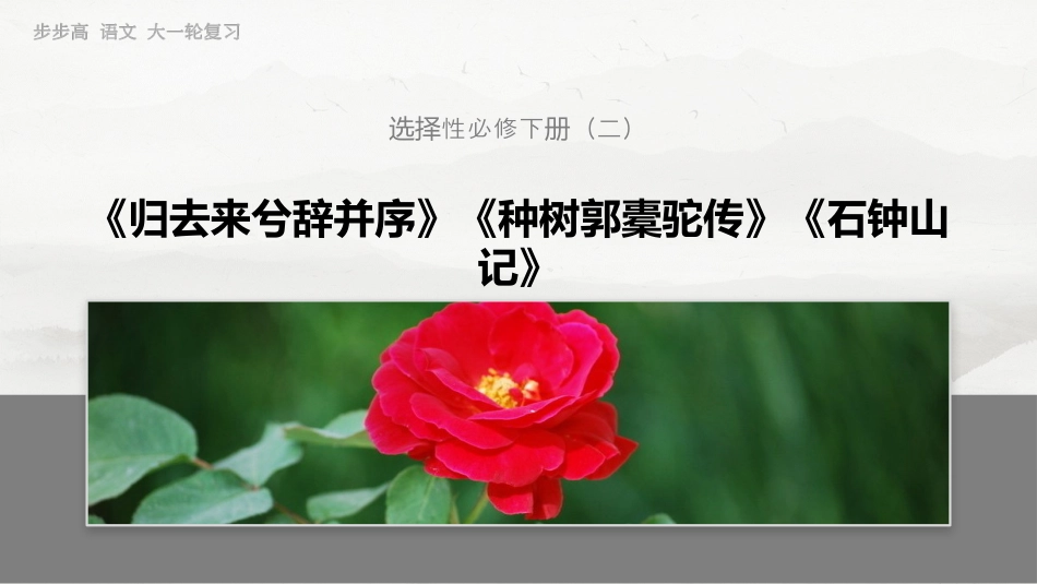 选择性必修下册(二)　单篇梳理5　种树郭橐驼传.pptx