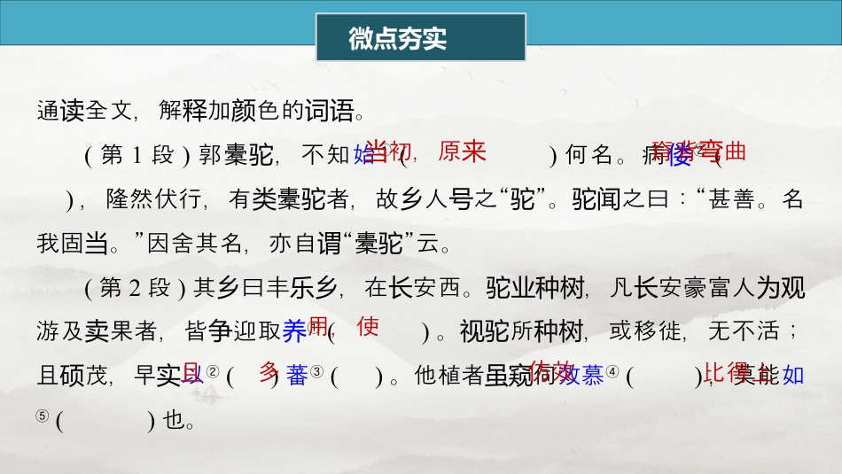 选择性必修下册(二)　单篇梳理5　种树郭橐驼传.pptx