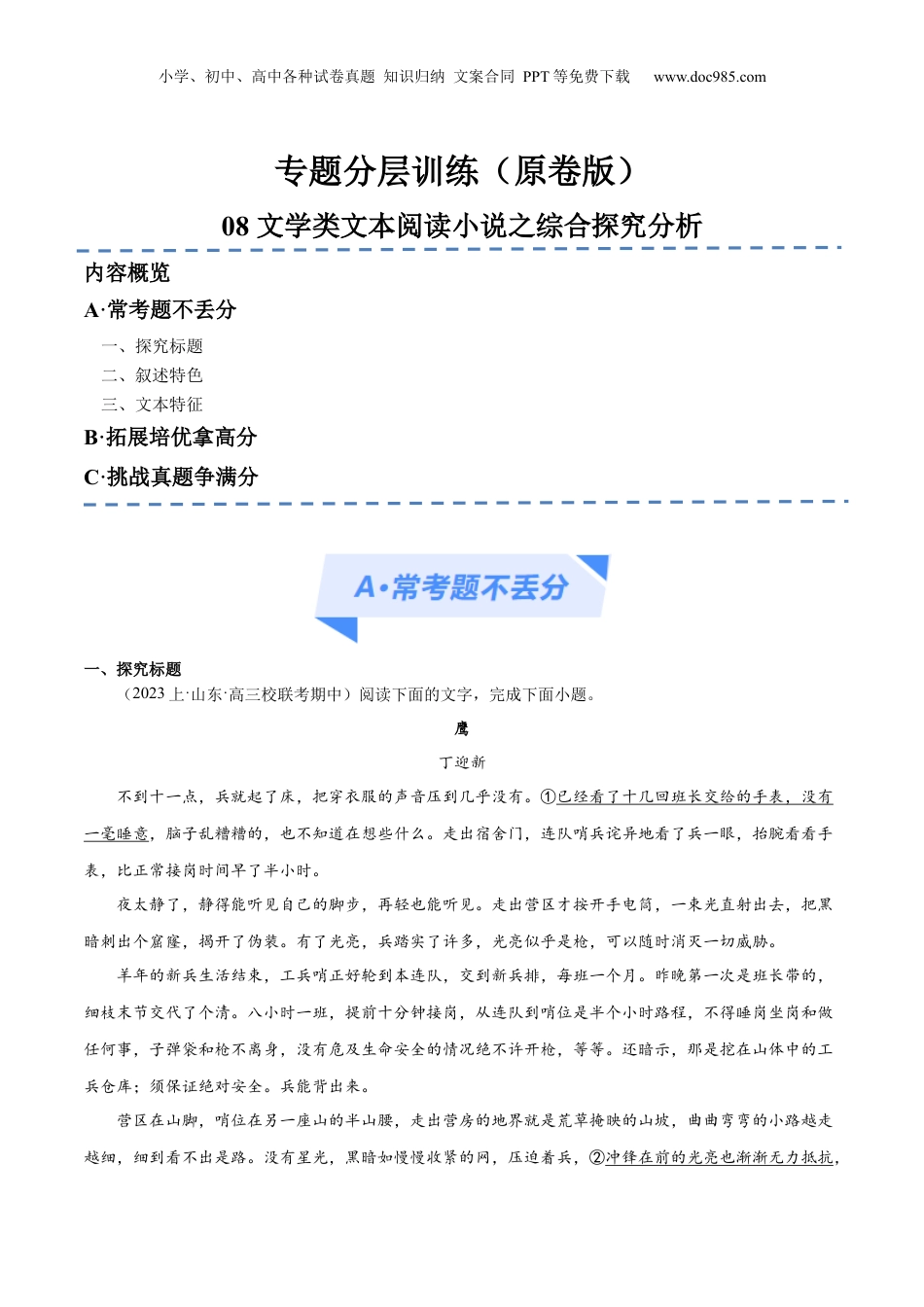 2024年新高考语文资料解密08 文学类文本阅读小说之综合探究分析（分层训练）（原卷版）.docx