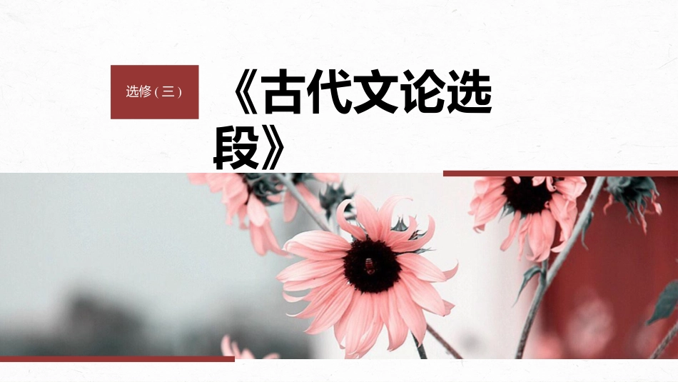 2024年新高考语文 选修(三)　拓展训练　走进高考.pptx