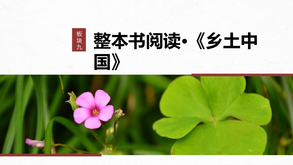 2024年新高考语文 板块9 整本书阅读 《乡土中国》 课时79　乡土社会与法理社会——核心概念，理解迁移.pptx