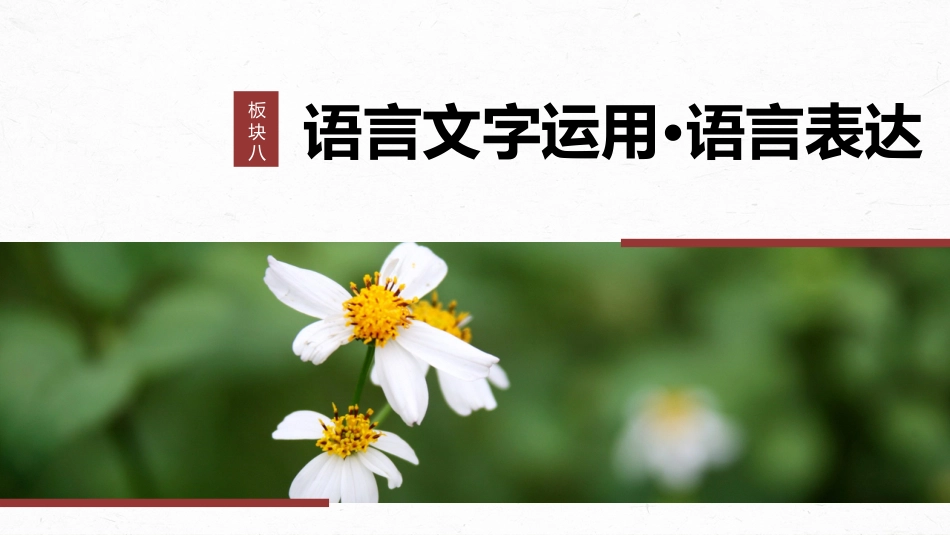 2024年新高考语文 板块8 第2部分 语言表达 课时77　掌握语句扩展和语言简明、准确、鲜明、生动要求——关注情境，满足要求.pptx