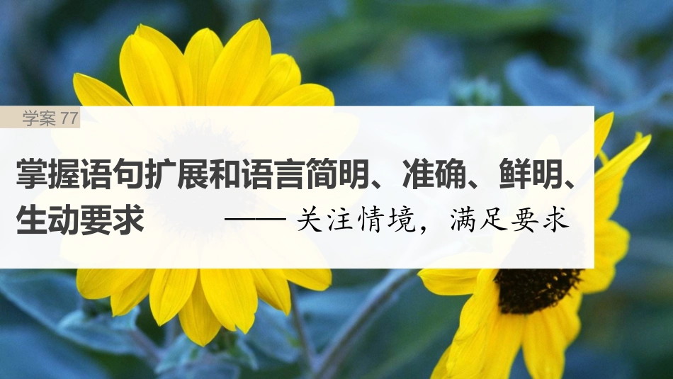 2024年新高考语文 板块8 第2部分 语言表达 课时77　掌握语句扩展和语言简明、准确、鲜明、生动要求——关注情境，满足要求.pptx