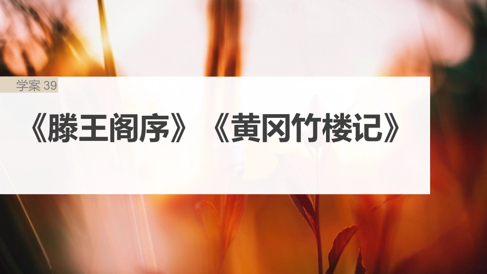2024年新高考语文 板块5 第1部分 教材内文言文复习 课时39　《滕王阁序》《黄冈竹楼记》.pptx