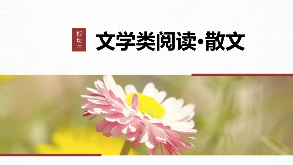 2024年新高考语文 板块3 小说阅读 课时19　精准判断选择题(小说、散文)——全面阅读，关注细节.pptx