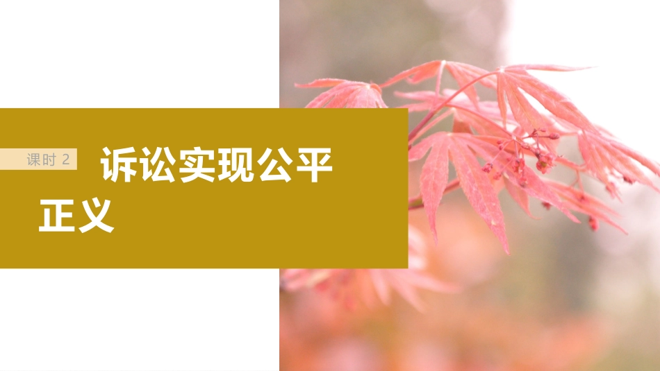 2024年高考政治一轮复习（部编版） 选择性必修2　第314课　课时2　诉讼实现公平正义.pptx