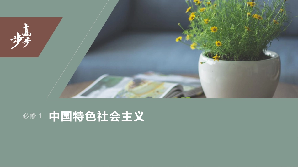 2024年高考政治一轮复习（部编版） 必修1　大题攻略　主观题对“新时代青年的使命与担当”的考查.pptx