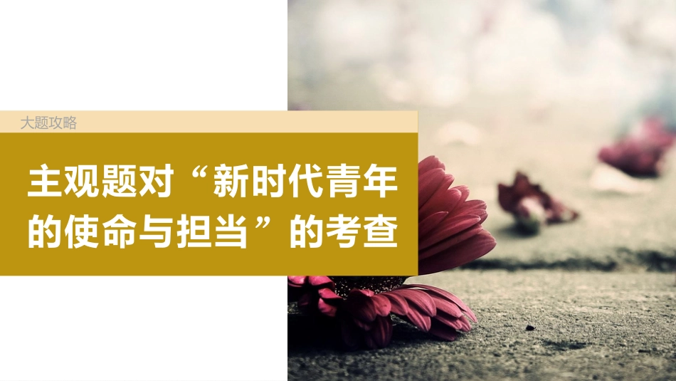 2024年高考政治一轮复习（部编版） 必修1　大题攻略　主观题对“新时代青年的使命与担当”的考查.pptx