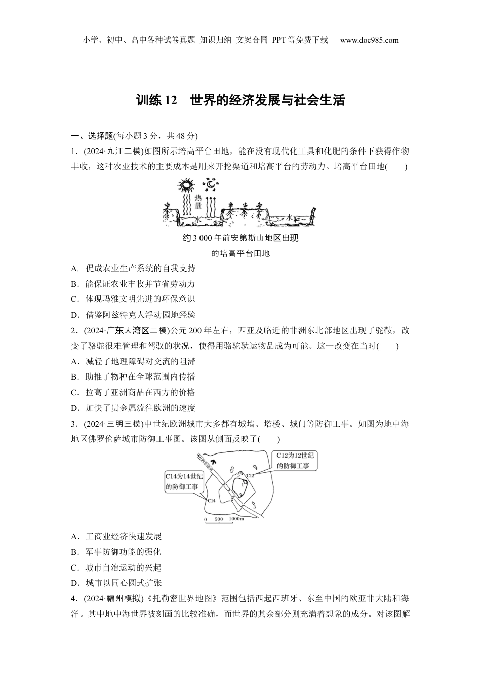 2025年新高考历史资料  板块三　训练12　世界的经济发展与社会生活 .docx