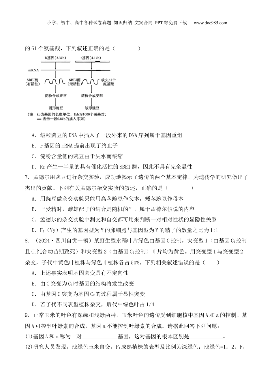 2024年新高考生物资料  第07讲 基因的分离定律和自由组合定律（练习）（原卷版）.docx