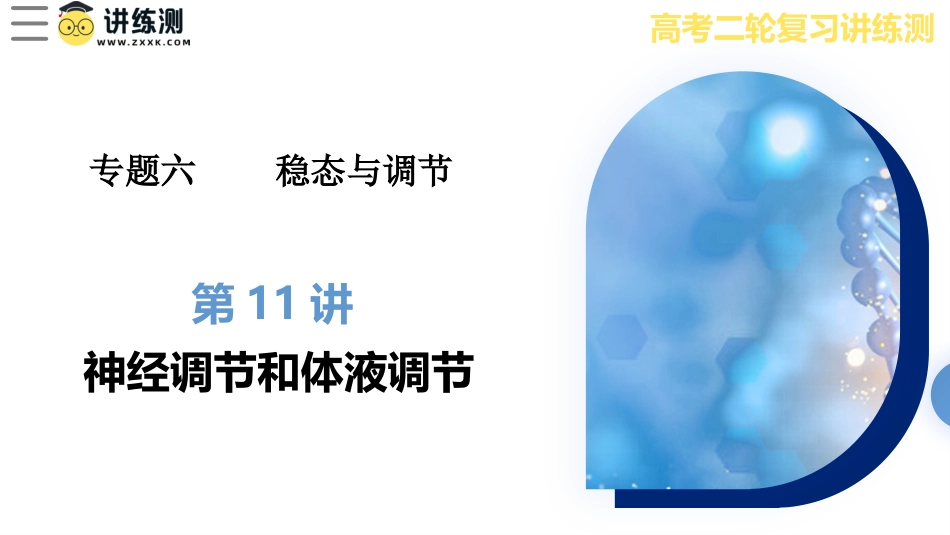 2024年新高考生物资料  第11讲+神经调节和体液调节（课件）-2024年高考生物二轮复习讲练测（新教材新高考）.pptx