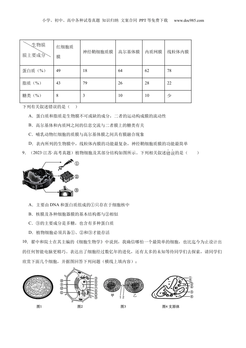 2024年新高考生物资料  第02讲 细胞的基本结构、功能与物质进出细胞的方式（练习）（原卷版）.docx