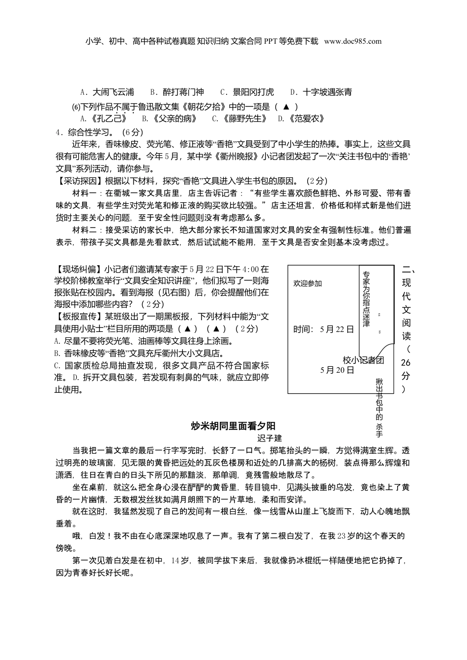 2013年浙江省衢州市中考语文真题及答案.doc
