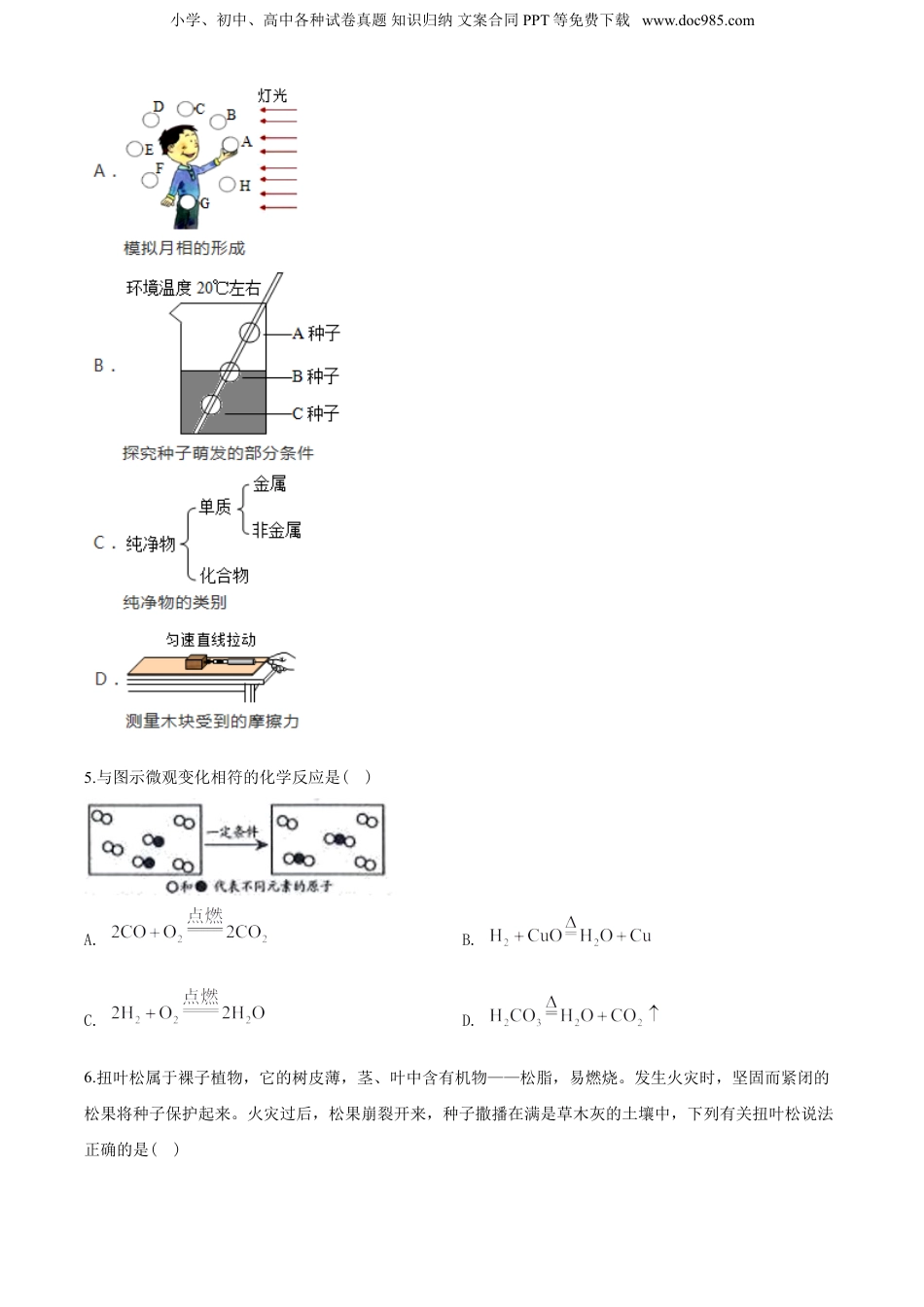 2020年浙江省绍兴市中考科学真题（空白卷）.doc