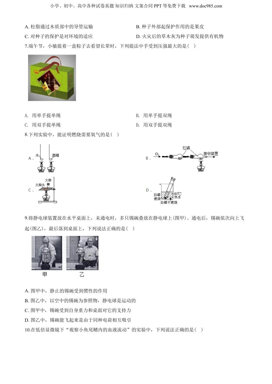 2020年浙江省绍兴市中考科学真题（空白卷）.doc