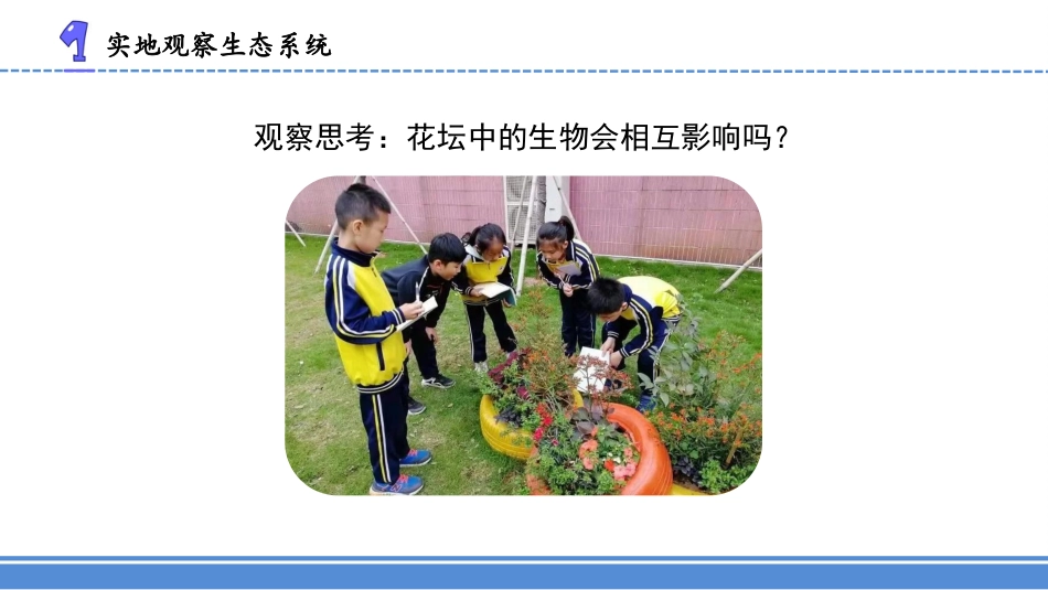 苏教版 六年级下册科学2.7.做个生态瓶（课件） 科学六年级下册.pptx