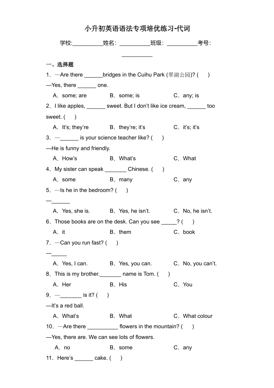 小升初英语语法专项培优练习-代词（全国通用版）.docx