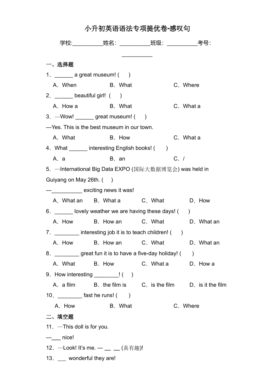 小升初英语语法专项提优卷-感叹句（全国通用版）.docx