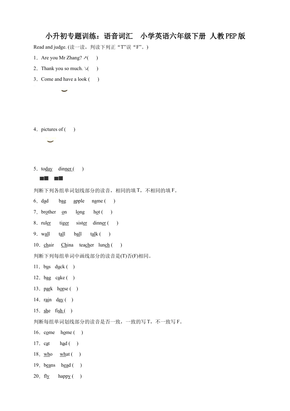 小升初专题训练：语音词汇  小学英语六年级下册 人教PEP版（含答案）.docx