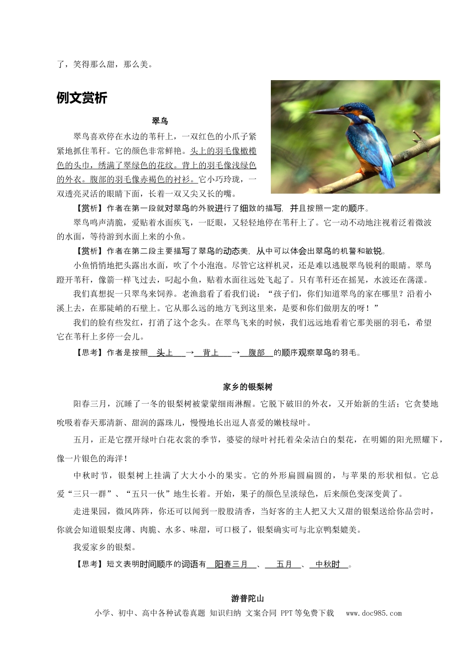 小升初语文-（授课宝典）小升初语文作文精讲精练 写作顺序 2023-2024学年语文六年级下册 统编版.docx
