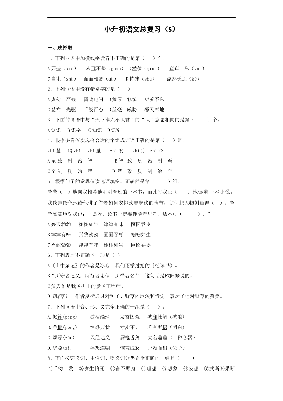 小升初语文-【精品】小升初语文知识专项训练-总复习5（24页）.docx