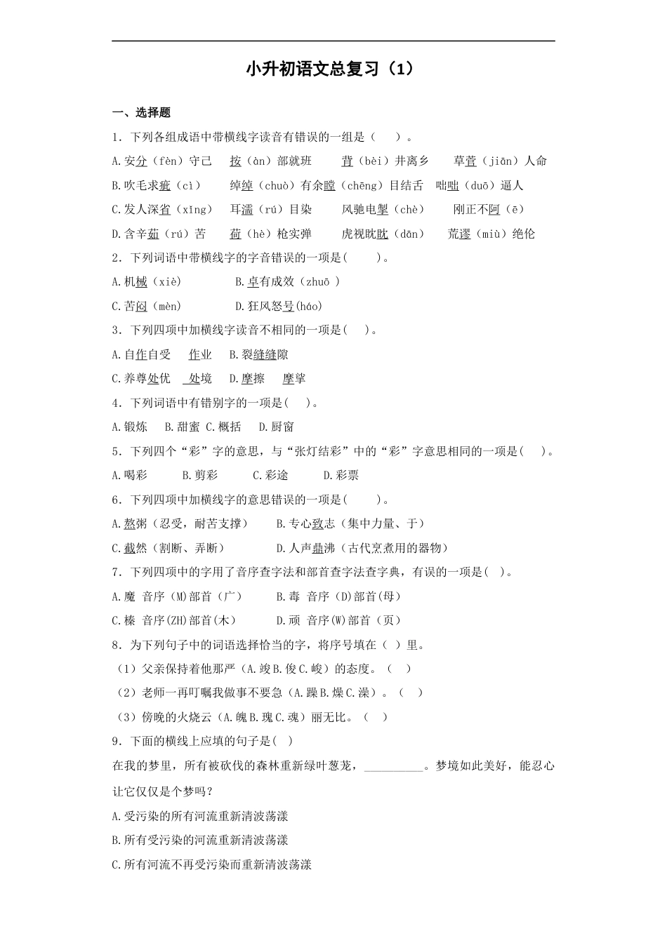 小升初语文-【精品】小升初语文知识专项训练-总复习1（26页）.docx