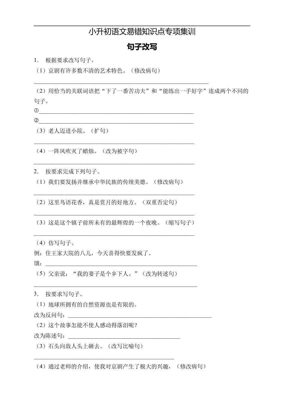 小升初语文-小升初语文易错知识点专项集训B卷-句子改写（试题）部编版语文六年级下册.docx