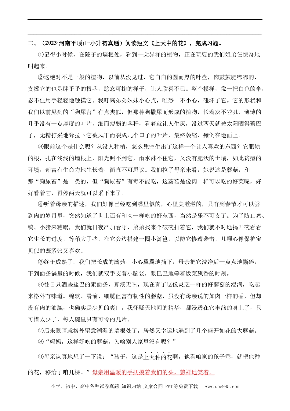 小升初语文-专题14 分析句段的作用（专项训练）.docx