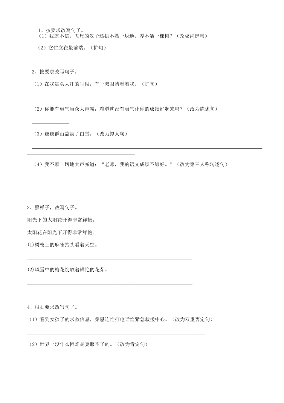 小升初语文-17小升初句法改写句子（9页）.doc