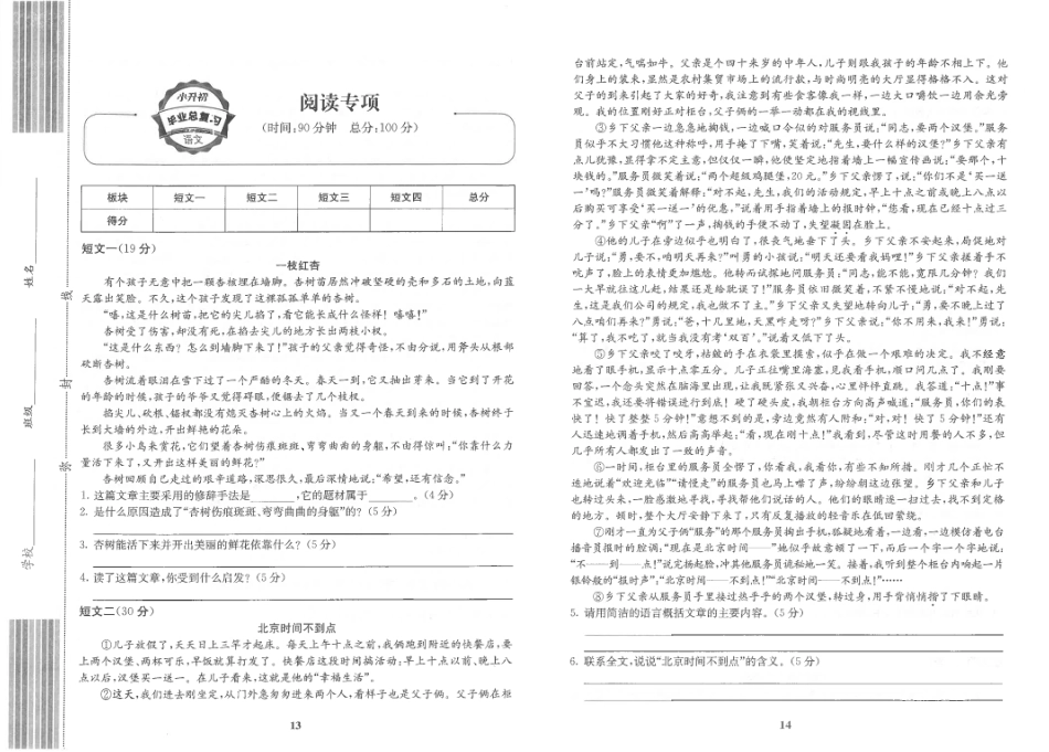小升初语文总复习 阅读专项练习.pdf