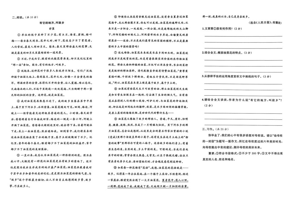 小升初语文分班试卷郑州LYH中学  AK新生入学分班卷.pdf