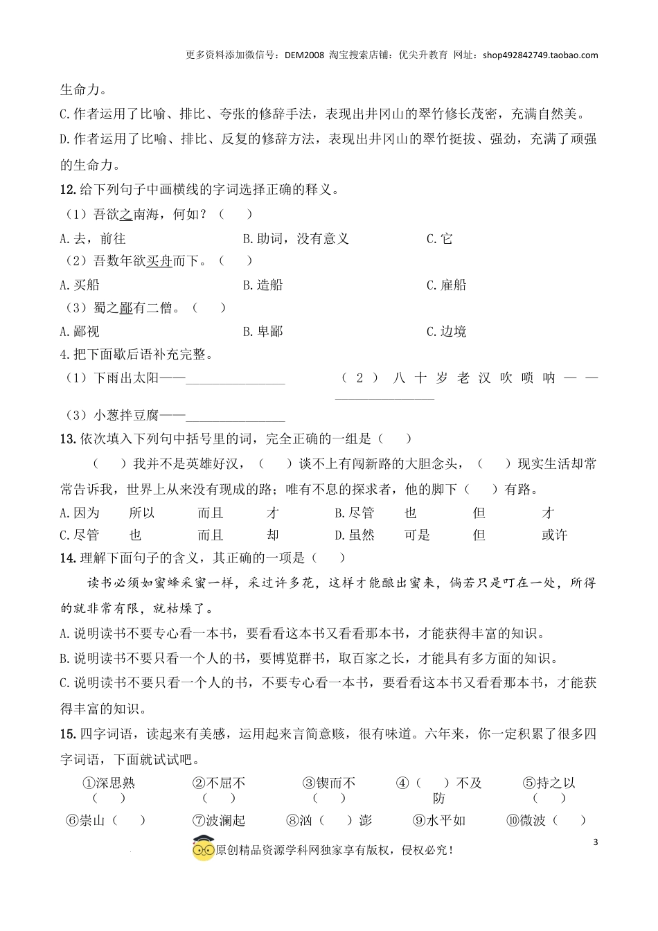 语文小升初模拟冲刺试卷（七） - 2024-2025学年语文小升初模拟演练冲刺试卷  A4版 学生版.docx