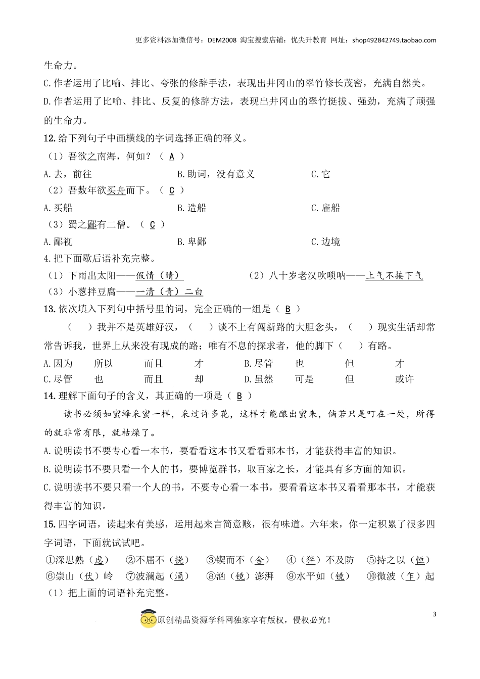 语文小升初模拟冲刺试卷（七） - 2024-2025学年语文小升初模拟演练冲刺试卷  A4版 教师版.docx