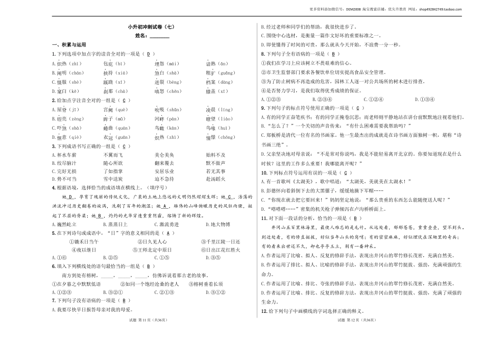 语文小升初模拟冲刺试卷（七） - 2024-2025学年语文小升初模拟演练冲刺试卷  A3版 教师版.docx