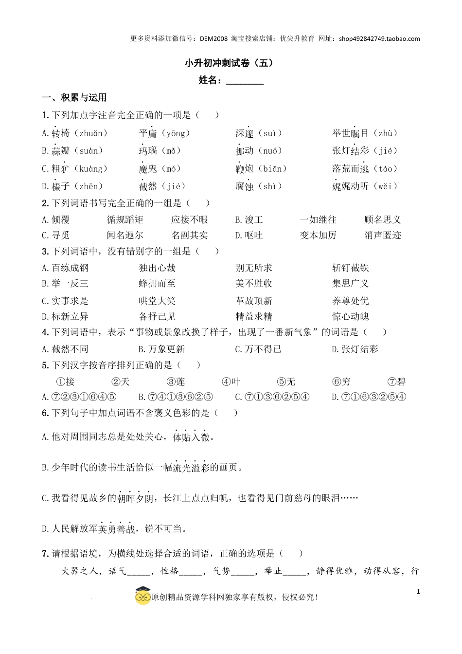 语文小升初模拟冲刺试卷（五） - 2024-2025学年语文小升初模拟演练冲刺试卷  A4版 学生版.docx