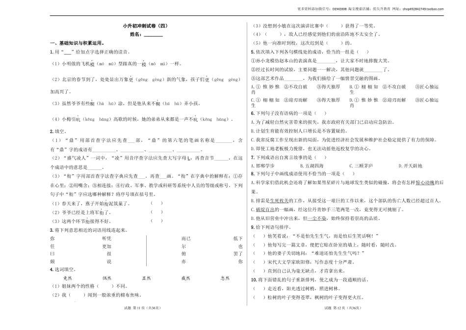 语文小升初模拟冲刺试卷（四） - 2024-2025学年语文小升初模拟演练冲刺试卷  A3版 学生版.docx