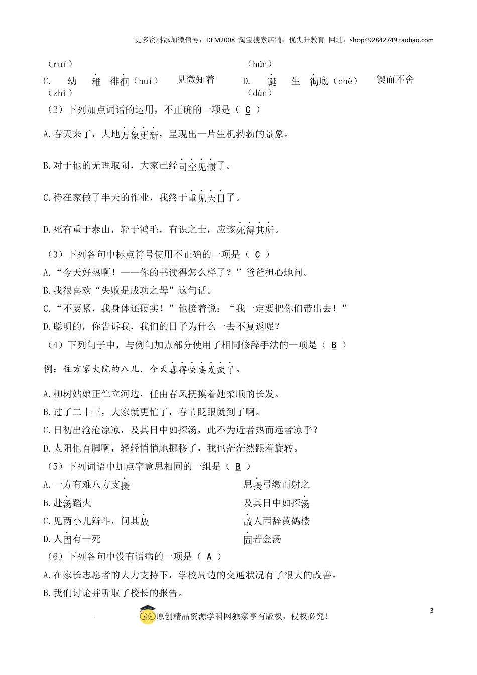 语文小升初模拟冲刺试卷（二） - 2024-2025学年语文小升初模拟演练冲刺试卷  A4版 教师版.docx