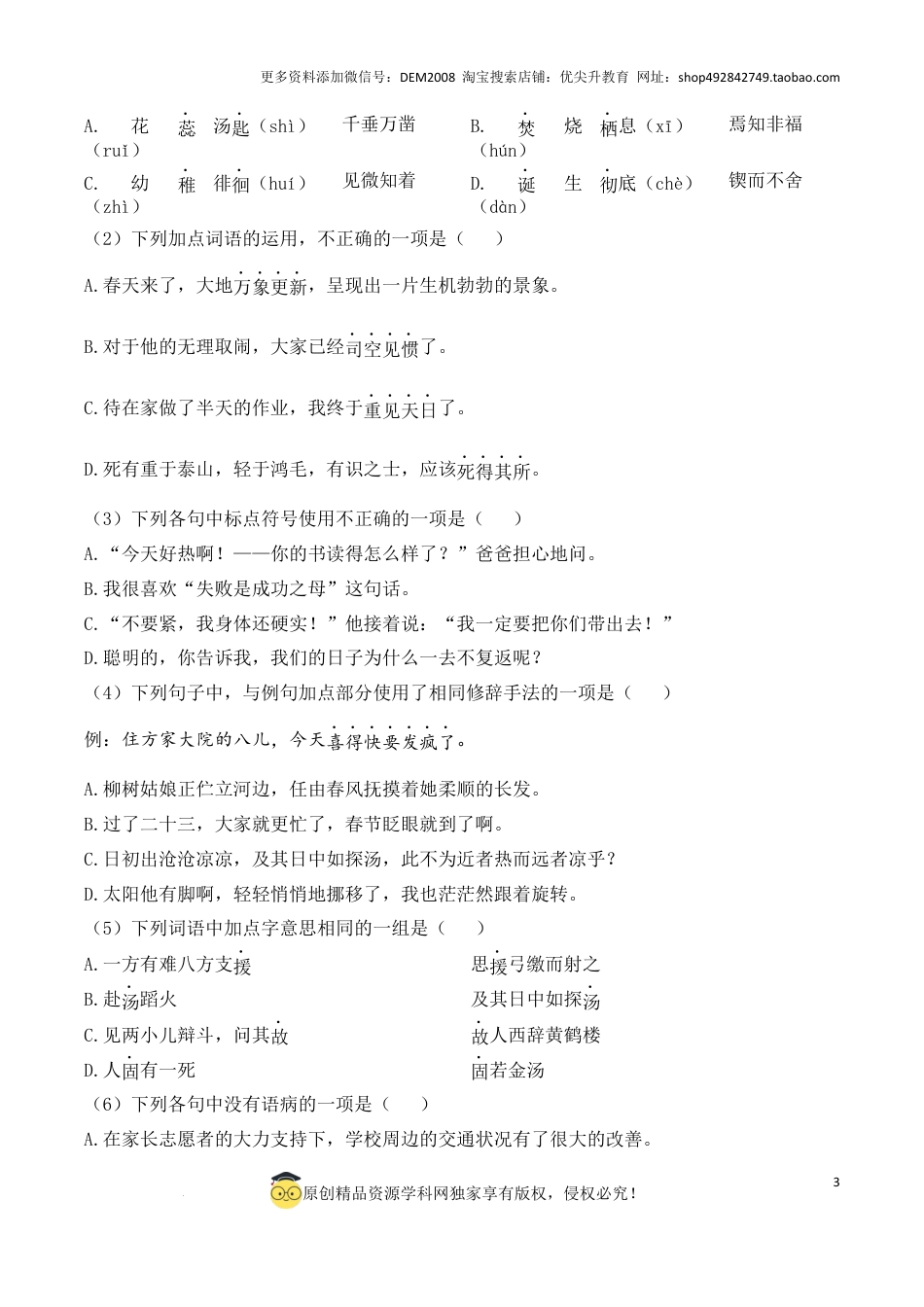 语文小升初模拟冲刺试卷（二） - 2024-2025学年语文小升初模拟演练冲刺试卷  A4版 学生版.docx