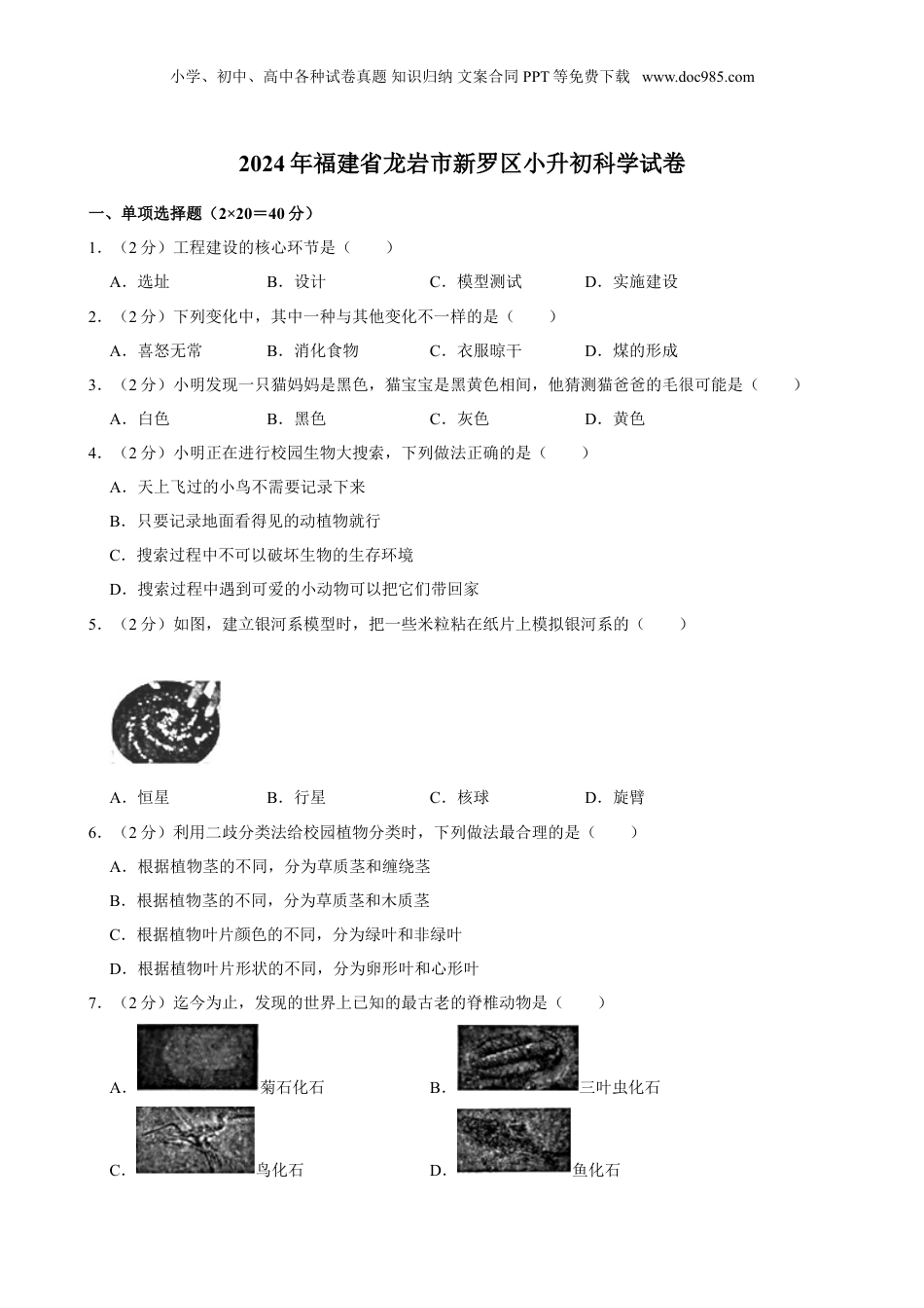 2024年福建省龙岩市新罗区小升初科学试卷（含解析）.doc
