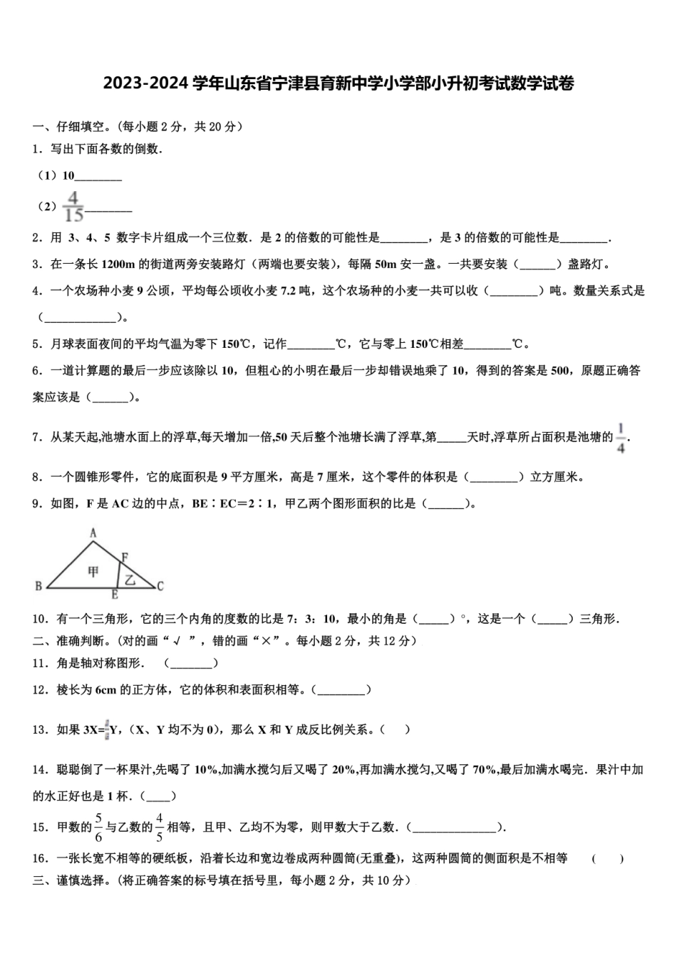 2024年山东省宁津县育新中学小学部小升初数学试卷含解析.pdf