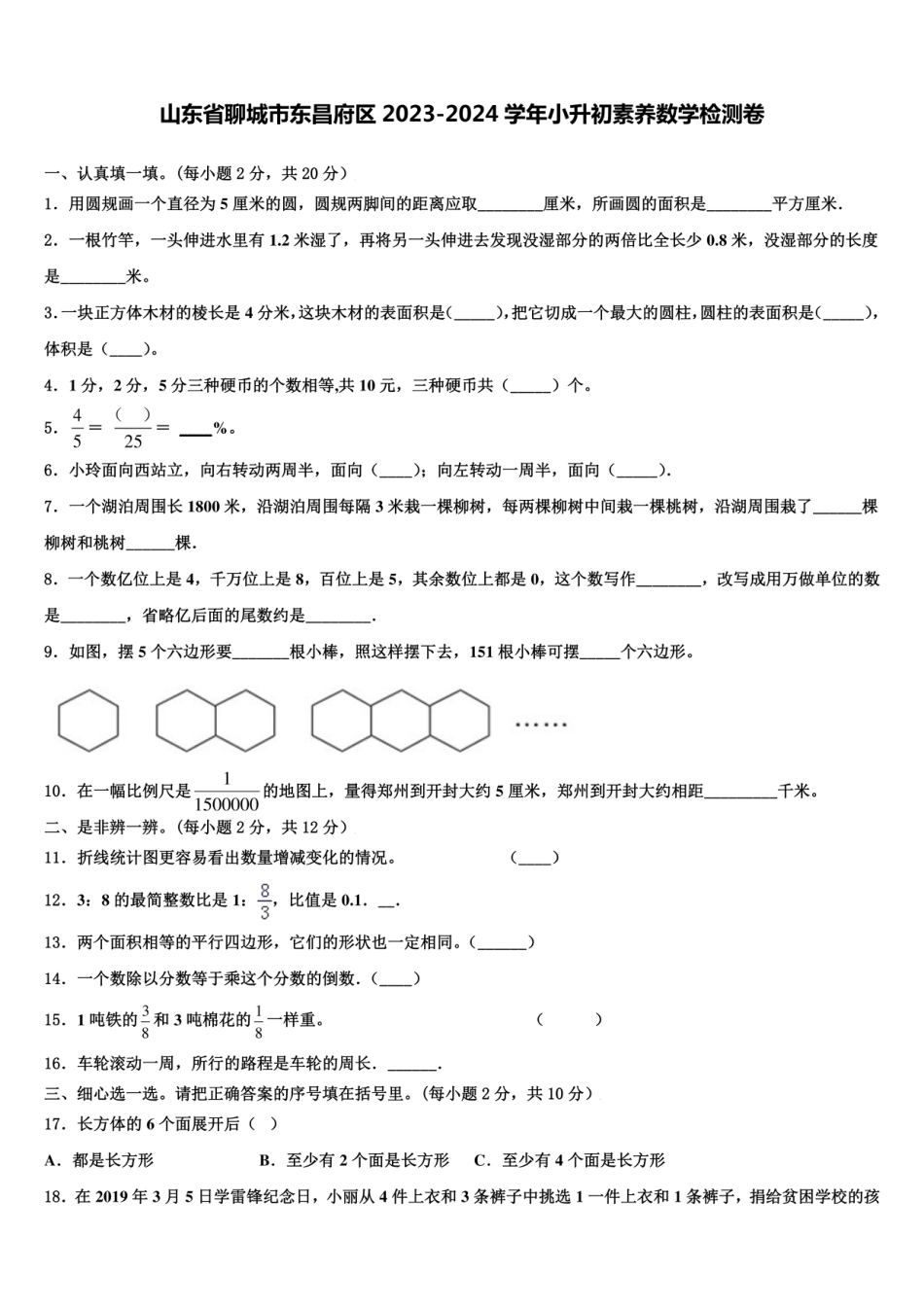 2024年山东省聊城市东昌府区小升初素养数学检测卷含解析.pdf